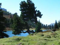 Klik op de foto voor groter formaat